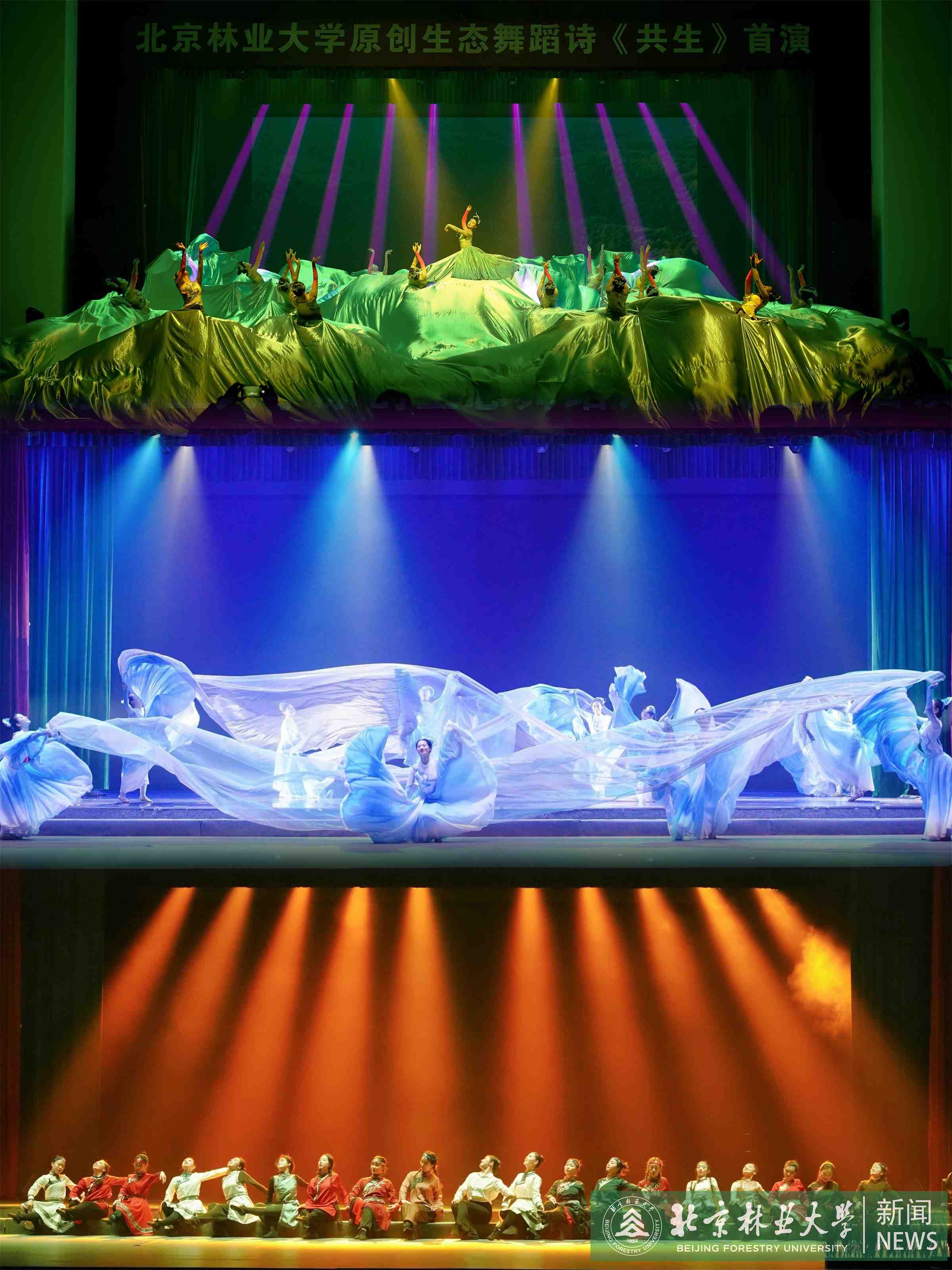 北林大原創(chuàng)生態(tài)舞蹈詩《共生》 (2).jpg